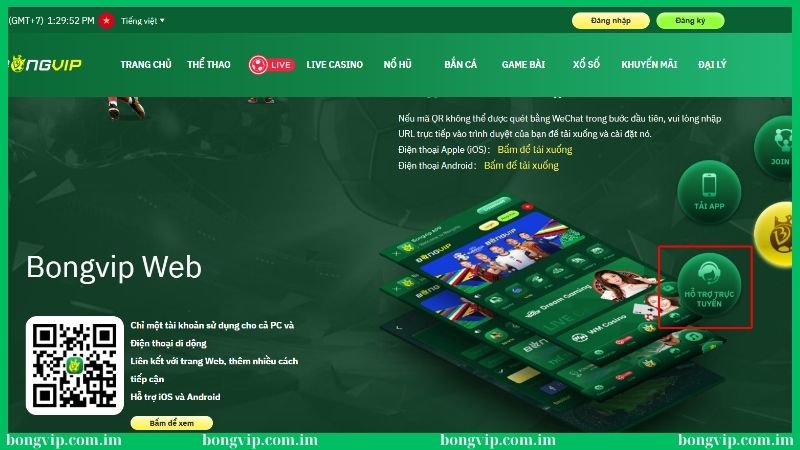Liên hệ đội ngũ hỗ trợ hướng dẫn tải app Bongvip 