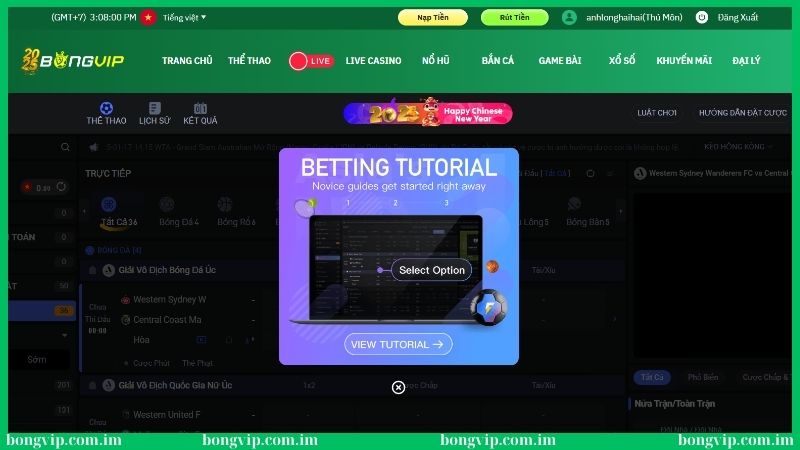 Soi kèo trước trận Bongvip trăm trận trăm thắng
